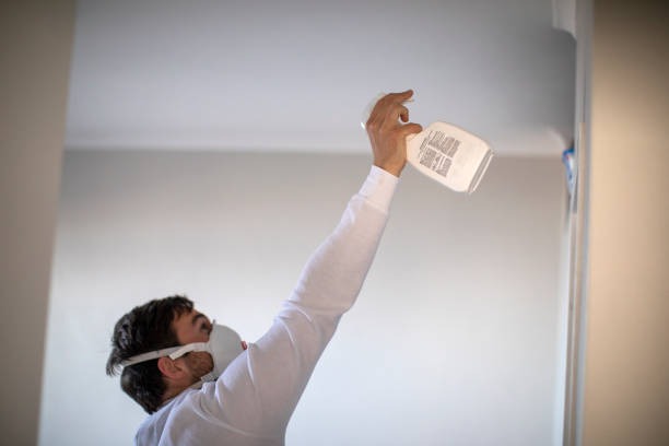 Best Mold Testing  in Northport, NY