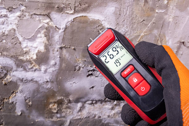 Best Mold Testing  in Northport, NY