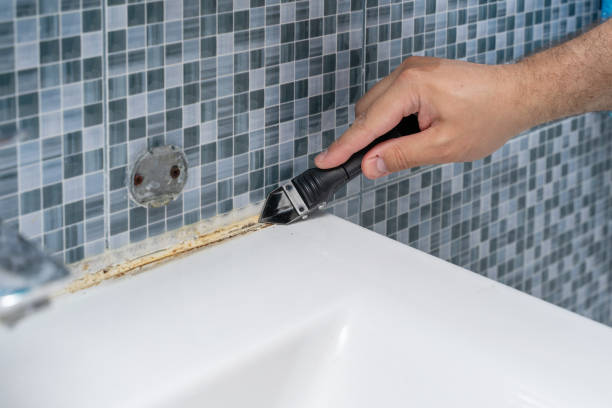 Best Office Mold Removal Services  in Northport, NY