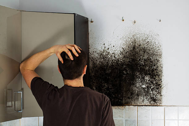 Mold Testing and Removal in Northport, NY